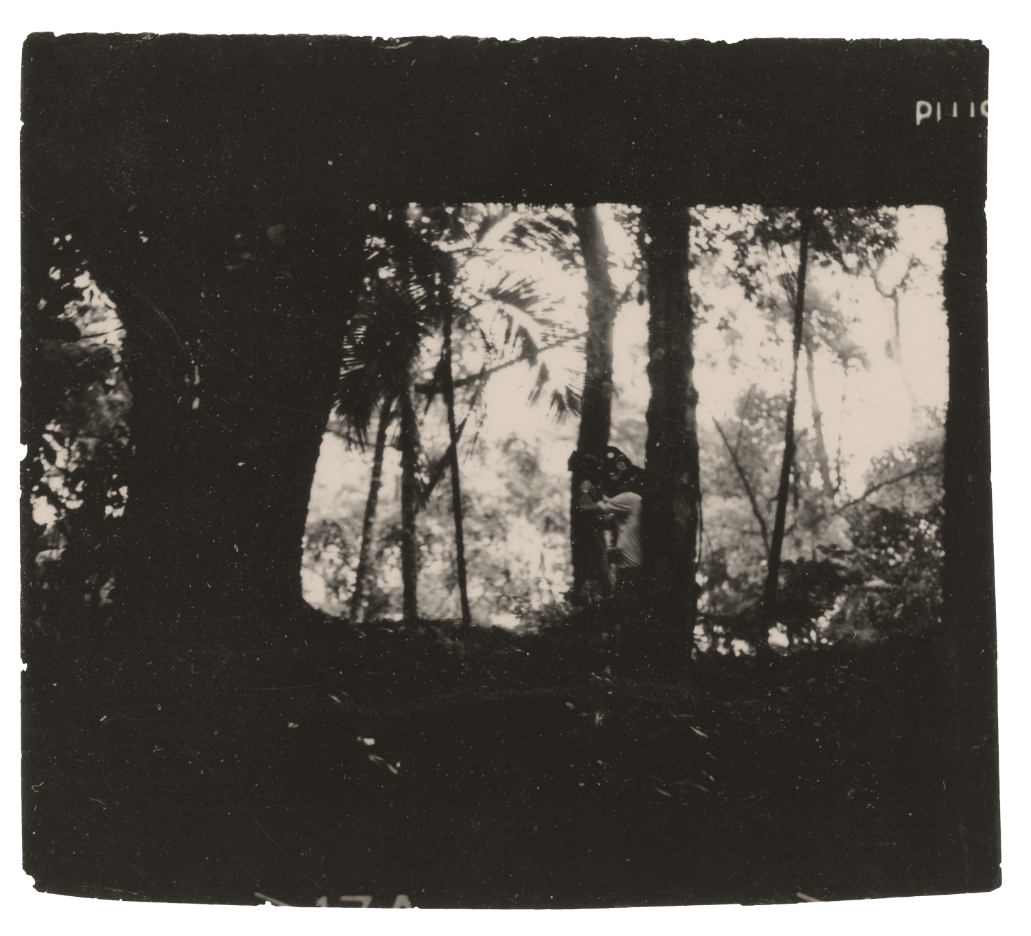 Ramon Alvarado fotografado durante as filmagens do documentário Floresta da Tijuca (1971)